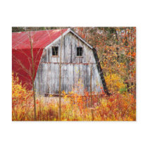 Tucked Away Post Cards