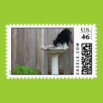 Tucker and the birdbath stamps