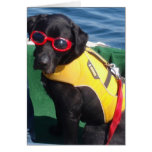 Tucker in Goggles Conservation Canines Labrador cards