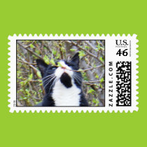 Tucker loves to smell spring postage stamps