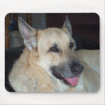Tucker the big German Shepherd Mouse Mat