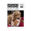 Tucker the Football Puppy postage