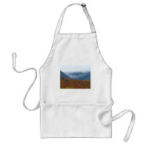 Tuckerman's Ravine Aprons