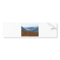 Tuckerman's Ravine bumper stickers