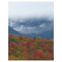Tuckerman's Ravine flyers