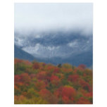 Tuckerman's Ravine flyers