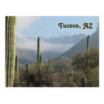 Tucson Arizona Desert Postcard postcards