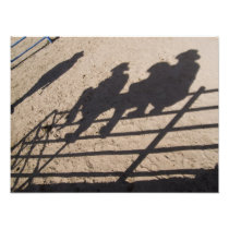 Tucson, Arizona: Shadows of Rodeo competitors