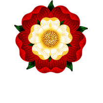 Tudor Rose t-shirts