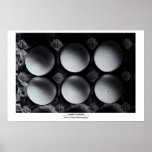 Tuesdays's Breakfast Poster
