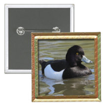 Tufted Duck Button