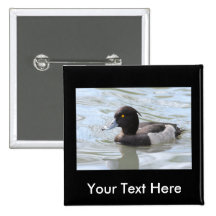 Tufted Duck Buttons
