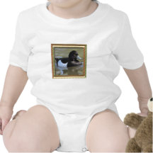 Tufted Duck Creeper