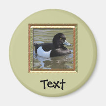 Tufted Duck Fridge Magnet