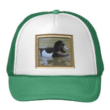 Tufted Duck Hats