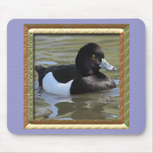 Tufted Duck Mouse Pads