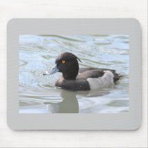 Tufted Duck Mousepad