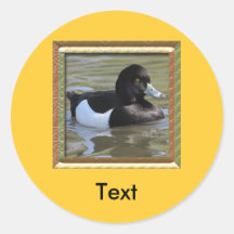 Tufted Duck Round Stickers