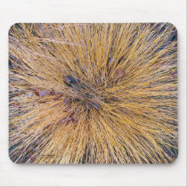 Tufted Hair-grass mousepads