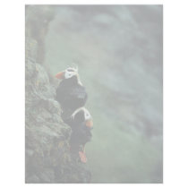 Tufted Puffin Pair Customized Letterhead