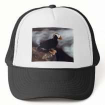 Tufted Puffin Portrait Hat