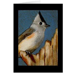 TUFTED TITMOUSE IN COLOR PENCIL card