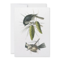 Tufted Titmouse, John Audubon Custom Invite