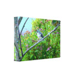 Tufted Titmouse: Newly Fledged Baby Bird Stretched Canvas Print