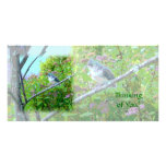 Tufted Titmouse: Newly Fledged Baby Bird Personalized Photo Card