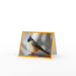 Tufted Titmouse Notecard