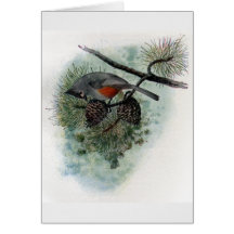 Tufted Titmouse Perched on Pinecone Card