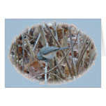 Tufted Titmouse Songbird Coordinating Items Card