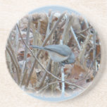 Tufted Titmouse Songbird Coordinating Items Drink Coasters