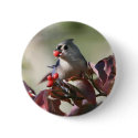 tufted titmouse with berry buttons