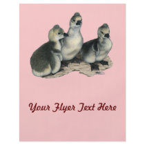 Tufted Toulouse Goslings Personalized Flyer