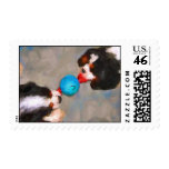 Tug of War Cavalier KC Spaniels Art Stamps