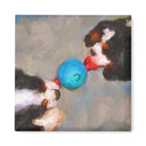 Tug of War Cavalier KC Spaniels Magnet