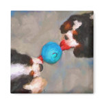 Tug of War Cavalier KC Spaniels Magnet