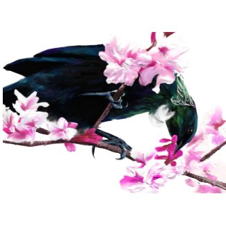 Tui Bird Feeding on Cherry Blossoms card