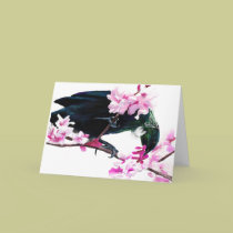 Tui Bird Feeding on Cherry Blossoms cards by Flynn_the_Cat Tui Bird Feeding on Cherry Blossoms cards