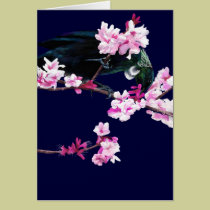 Tui Bird Feeding on Cherry Blossoms cards by Flynn_the_Cat Tui Bird Feeding on Cherry Blossoms cards