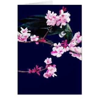 Tui Bird Feeding on Cherry Blossoms card