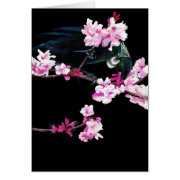 Tui Bird Feeding on Cherry Blossoms card