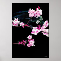 Tui Bird feeding On Cherry Blossoms - (LARGE) Posters