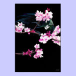 Tui Bird feeding On Cherry Blossoms - (LARGE) posters
