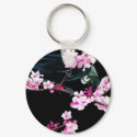 native tui bird pink cherry blossom
