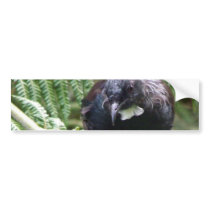 Tui Bumper Stickers