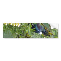 Tui Bumper Sticker