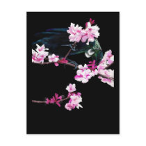 Tui Feeding on Cherry Blossoms Post Cards