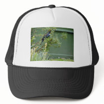 Tui Hats